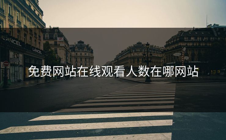 免费网站在线观看人数在哪网站