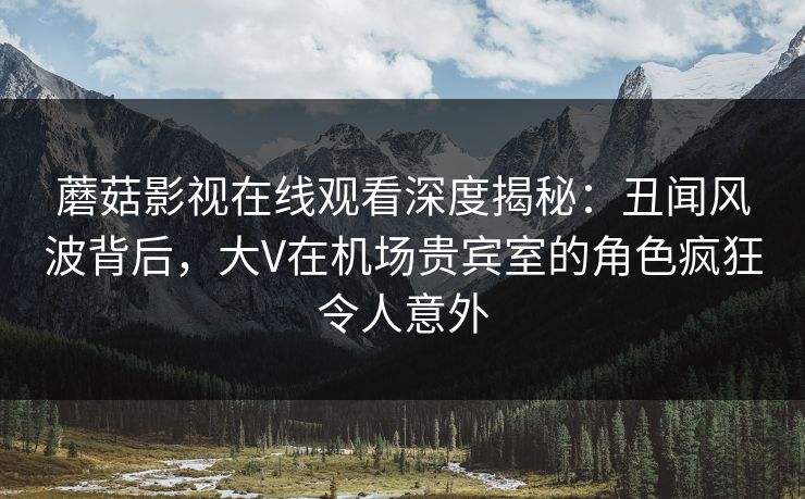 蘑菇影视在线观看深度揭秘:丑闻风波背后,大V在机场贵宾室的角色疯狂令人意外