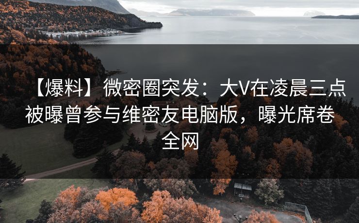 【爆料】微密圈突发:大V在凌晨三点被曝曾参与维密友电脑版,曝光席卷全网