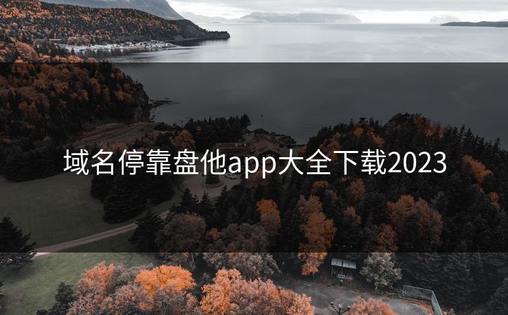 域名停靠盘他app大全下载2023