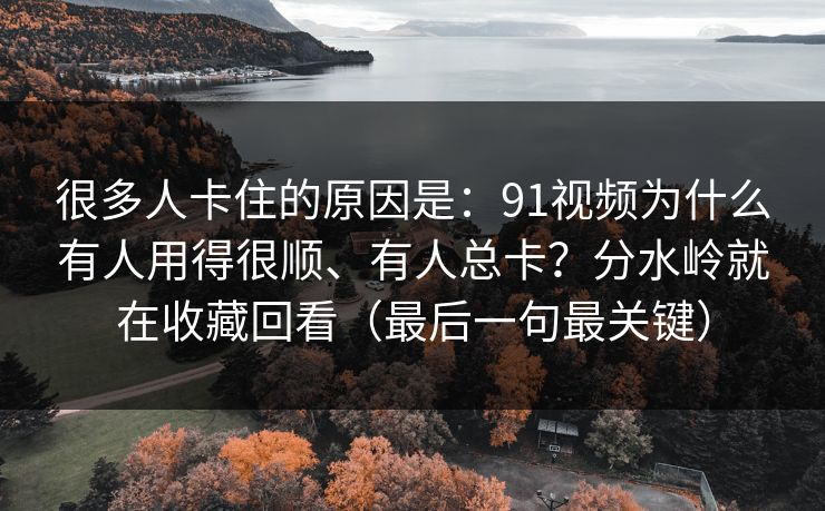 很多人卡住的原因是：91视频为什么有人用得很顺、有人总卡？分水岭就在收藏回看（最后一句最关键）