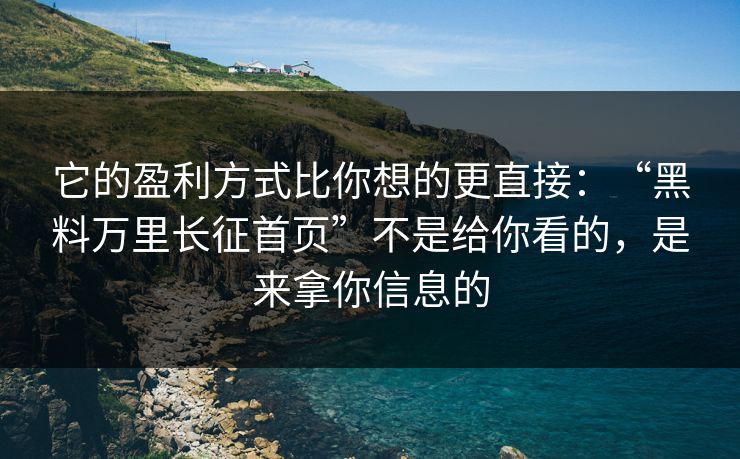 它的盈利方式比你想的更直接：“黑料万里长征首页”不是给你看的，是来拿你信息的